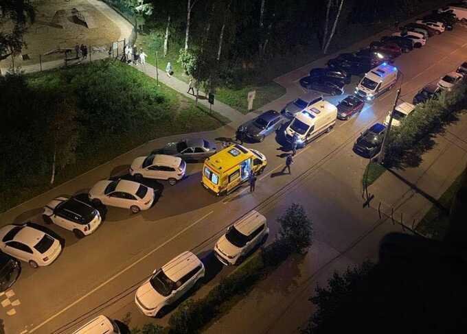 В Новой Москве жительницы подрались на детской площадке из-за собаки без намордника