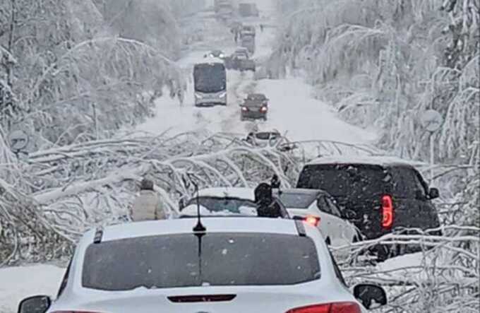 Снежный циклон оставил Подмосковье без электричества и связи на майские праздники