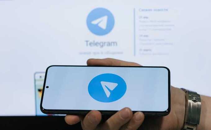 Telegram заблокировал запасные каналы вологодских СМИ
